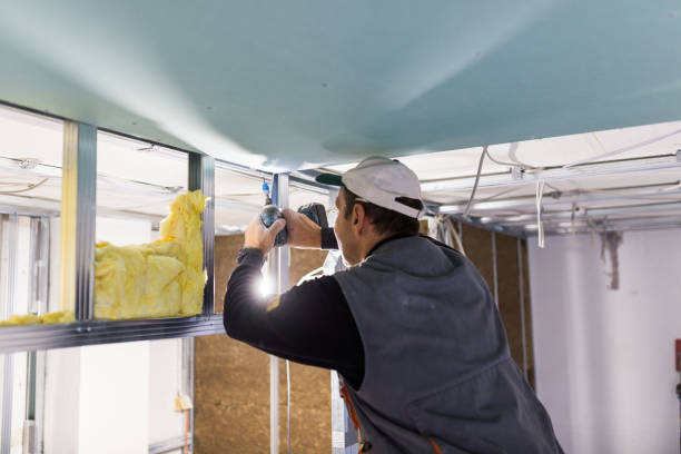 Best Specialized Insulation Services in Daly City, CA