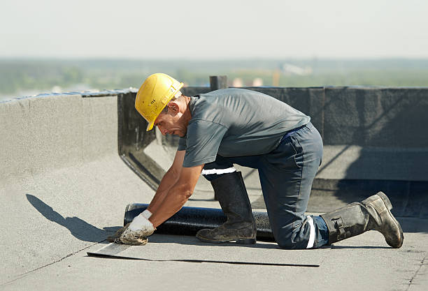 Professional Insulation Contractor in Daly City, CA